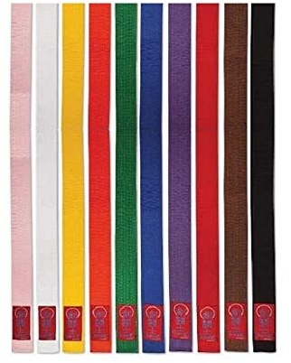 ProForce Gladiator Double Wrap Karate Belts - Brown - Size 6