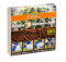 ROMBERG 76560K Kakteen Erden 10L Pop Up Packung