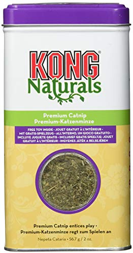 Kong Naturals, erba gatta