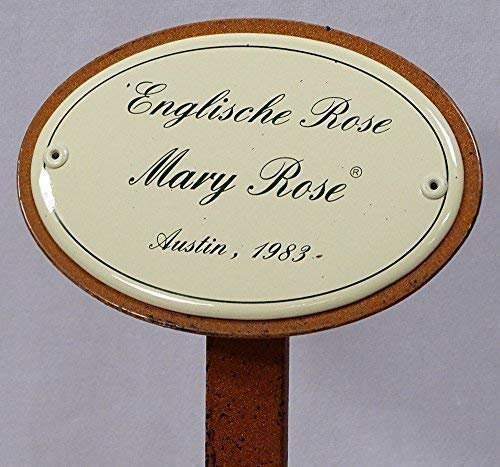 linoows Rosenschild Rosenstecker Emaille, Englische Rose Mary Rose, Austin 1983