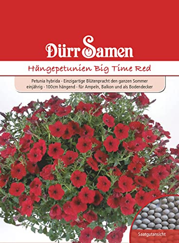 Dürr-Samen - Petunien Big Time Red einjährig 100 cm Saatgut