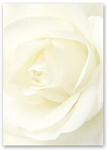 20 Blatt Briefpapier Blumen & Blüten, Liebe & Hochzeit WEISSE ROSE - DIN A4 Format - Paper-Media