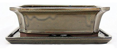 Bol de bonsaï avec soucoupe - Taille 4 – Marron olive – Rectangulaire - Modèle G4 – L 26 cm – l 20 cm – H 8 cm