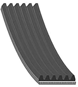 febi bilstein 29022 Keilrippenriemen 6 Rippenanzahl, 1 Stück