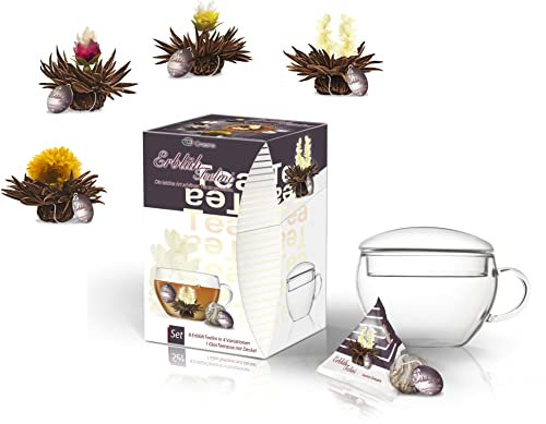 Creano Erblüh-Teelini schwarztee Geschenk-Set 'schwarzer Tee' 8 ErblühTeelini fein aromatisiert, 1 Teelini Glas-Teetasse 200 ml mit Deckel, der erste ErblühTee in Tassenformat
