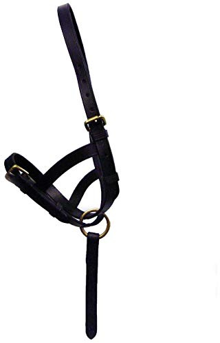 Hy Leather Foal Slip(Black, Small)
