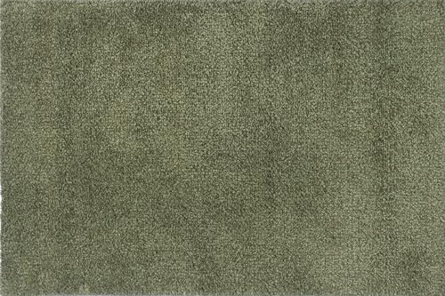 Sköldpaddsmatta salvia grön 50 x 75 cm, inomhus med multi-grepp baksida