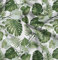 Soimoi Grun Baumwoll-Popeline Stoff Monstera Blatt & Blumen- Stoff Meterware 42 Zoll breit