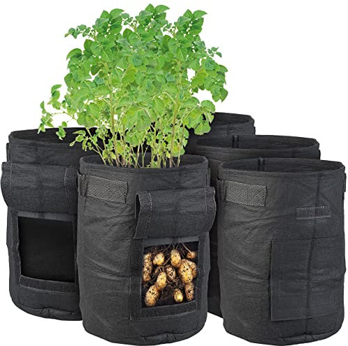 Royal Gardineer Pflanzsack: 5er-Set Pflanzen-Wachstumssäcke, je 10 l, Tragegriffe, Sichtfenster (Pflanzsack mit Erntefenster, Pflanzenwachstumssäcke mit Griffen, wasserdichte Taschen)