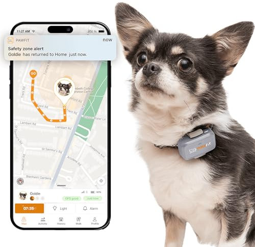 Pawfit Lite GPS-Tracker mit 4G für kleine Hunde | Tracking in Echtzeit | Aktivitätsüberwachung |Standortverlauf | Unbegrenzte Reichweite | Fliedergrau