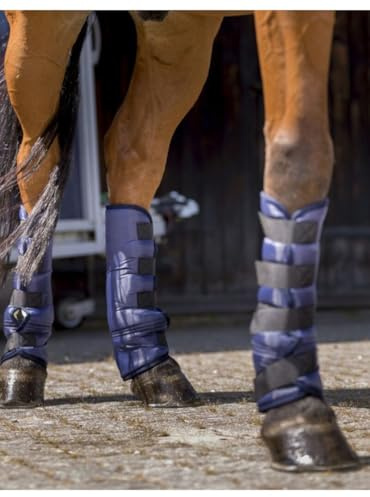 Divers Guêtres de Transport Basses - Couleurs - Marine, Taille Equipement Cheval - Cheval