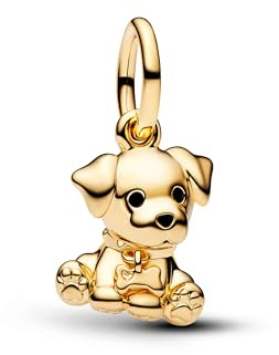 TCZNAF Pulseras con Charms, Perlas Compatibles para Pulseras de Joyería para Damas, Regalos para Fiestas, Zirconia cúbica Plata
