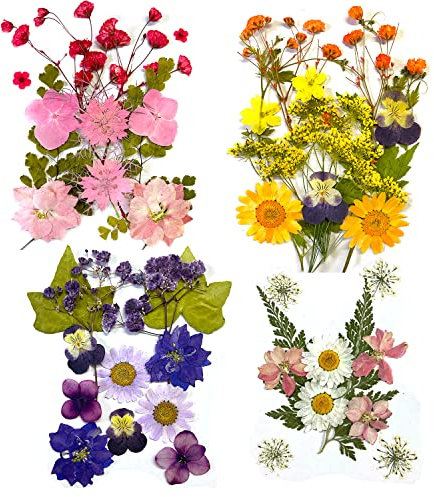 DFsucces 4 Packs About 60 Pcs,Pressed Dried Flowers,Real Dried Pressed Flowers,Pressed Flowers for Resin,Mixed Multiple Natural Flowers Leaves,for Crafts Making Floral Decors Scrapbooking DIY