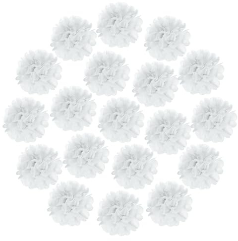 sourcing map 20Pcs Tissue Paper Pom Poms, 10cm Colorful Large Paper Flowers Wall Decorations for Fiesta Party Birthday Wedding White