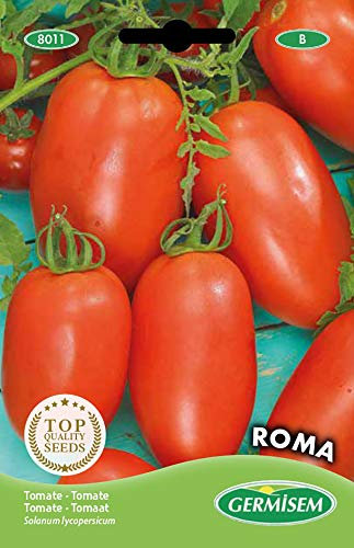 Germisem Roma Semillas de Tomate 1 g, EC8011
