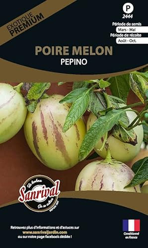 Graines potagères Premium Poire Melon