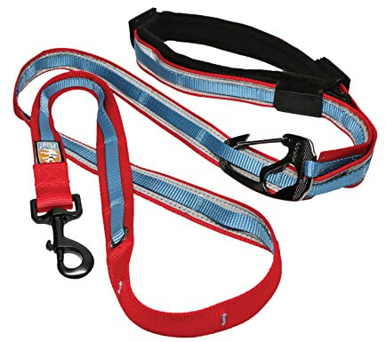 Kurgo Quantum 6-in-1 Hände-freie Hundeleine für Laufen, Gehen oder Wandern, mit verstellbarem Taillengürtel, 6 Varianten in Einer flexiblen Leine, reflektierend, rot/blau
