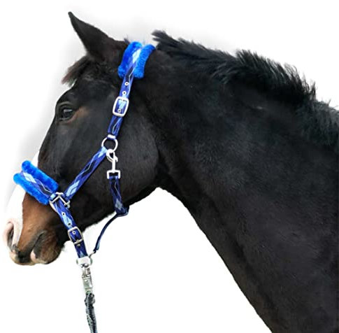 Halfter für Pferde Fell Halfter unterlegt Halfter blau in den Größen xfull Halfter, Pony, Cob, Warmblut (Blau, Kaltblut + Strick)