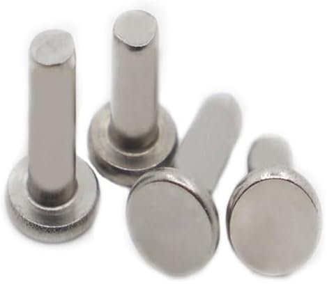 SAJMAKUWLA Bulloni Dadi Quadrati, 5/10/20/50 Pezzi M2 M2,5 M3 M4 M5 M6 GB109 Rivetti a Testa Tonda Piatta Rivetti a innesto Bulloni a chiodo in Acciaio Inossidabile 304(M3 20pcs,25mm)