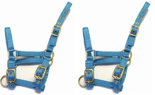 Rhinegold Nylon Foal Headcollar - Turquoise (Pack of 2)