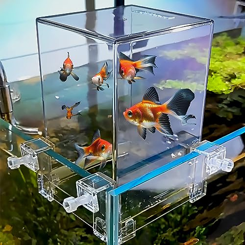 Tour de poisson en acrylique sous vide pour l'aménagement paysager écologique - Avec remplissage d'eau pour la maison, l'hôtel, le restaurant