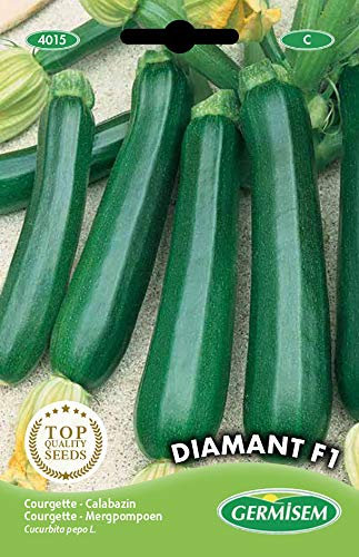 Germisem Diamant F1 Semi di Zucchine 2 g