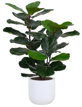 CG Hunter Faux Fig Tree, Premium Artificial Indoor Tree Stands 3-ft Tall, Lifelike-Leaves & Hand Painted Trunk, Pot Included