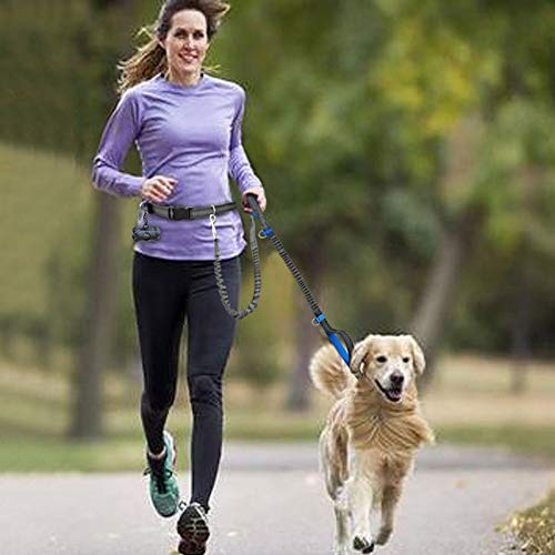 Hands Free Running Dog Lead/Dual-Handle Dog Leash Bungee - Reflective with Double Sided Lined Pouch Great for Handsfree Running, Jogging or Walking (Black)