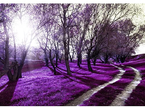 Runa Art Papel tapiz fotográfico 396 x 280 cm Sun del bosque | Lana Decoración De Pared Sala Cuarto | Fabricación alemana | Violeta 9217012b