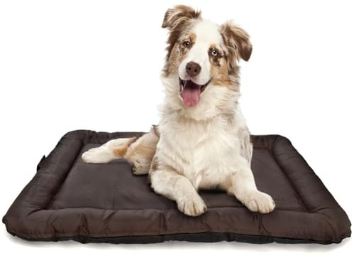 all Pets United® Hundekissen Hundebett Indoor & Outdoor; Hunde-Kissen Hunde-Körbchen; Schlafplatz für Hund & Katzen (M - 75x52 cm)