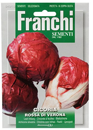 Franchi Radicchio Palla Rossa of Verona