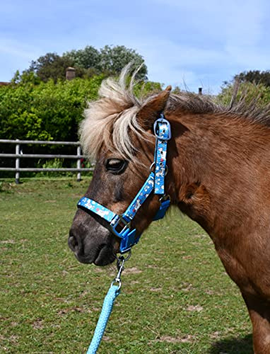 Rhinegold Ensemble Licol Licorne et Corde – Shetland – Turq, Turquoise