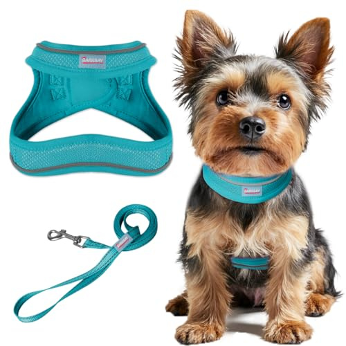 Dog Harness and Leash Set,Step in Small Sized Dog Harness,Soft Mesh,No-Chock,Reflective Adjustable,Secure with Hook & Loop Fastener,Puppy Vest for Small,Medium Dogs(Ocean Blue,XXXS)