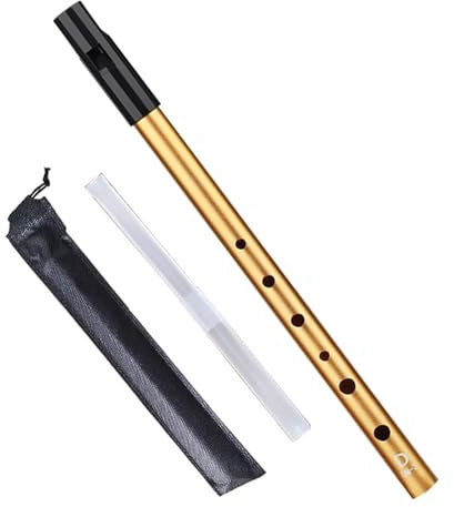 Irischer Tin Whistle Tonart D Ausgezeichnete Klangqualität Blockflöte Für Anfänger Musikliebhaber mit Schutzhülle