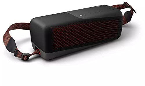 Philips Audio Kabellose Lautsprecher Bluetooth, Hochportabler & Wasserdichter IP67 Lautsprecher Mit Integriertem Mikrofon Für Anrufe & Powerbank, 24 Stunden Wiedergabe,TAS7807B, Schwarz, Groß