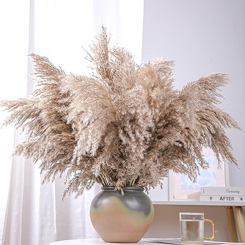 20 Stems 28 inch Large Brown Pampas Grass Decor Tall - Natural Fluffy Pompas Grass Bulk Tall Pampas Grass for Floor Vase - Boho Decor Home Decor Wedding Decor Event Decor，Gift