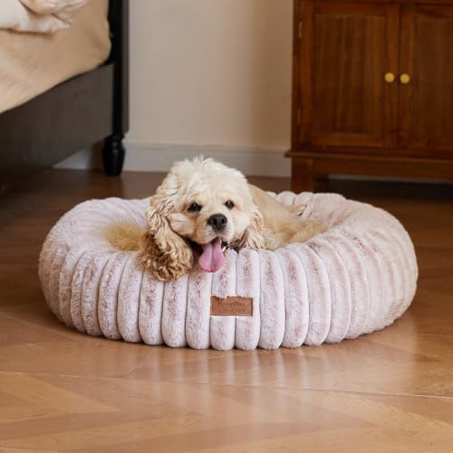 FUKUMARU Hundebett，Katzenbett für den Innenbereich, orthopädisches Hundebett, waschbare Abdeckung, modernes Design mit Farbverlauf. 64 x 64 x 18 cm, Rosa