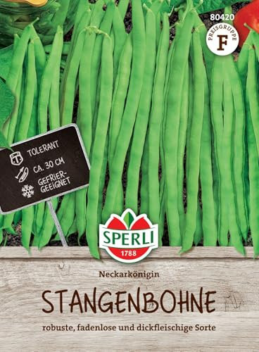Sperli Graines de haricots d'Espagne Neckar Reine 80420 – Variété robuste, sans fil et à chair épaisse – Contenu pour 18 à 24 tiges – Graines de légumes, graines