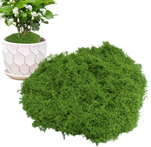Generico Muschio per l'artigianato, muschio finto per l'artigianato - Muschio verde finto multifunzionale,Muschio finto verde per piante in vaso, decorazione muschio per casa, studio, ristorante