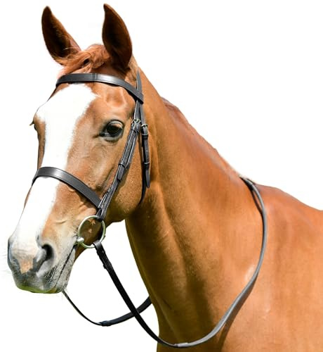 Kincade Classic Flat Hunt Bridle with Reins, Black, Cob