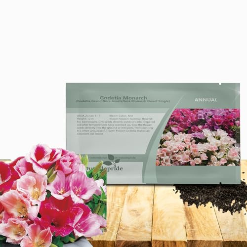Outsidepride 5000 Seeds Annual Godetia Dwarf Flower Seed Mix for Planting