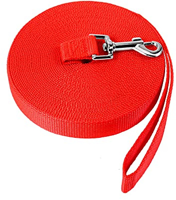 Laisse pour Chien 5m, Longe de Dressage, Longue Laisse en Nylon pour Petites à Grandes Tailles d'animaux/Rouge