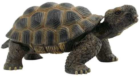 Bullyland - B63553 - Figurine Tortue De Terre - 13 cm