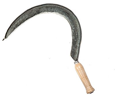 Falci 120751-1 Falciola Forgiata e Temprata con Manico in Legno, 50 cm