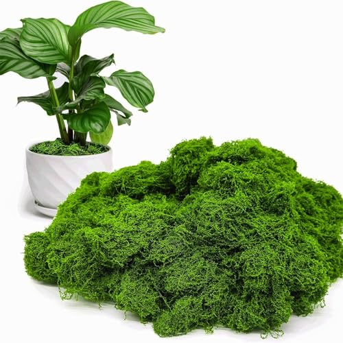 Briking Fake Moss, 50g Artificial Moss artificial Mo ss for Indoor Plant Pots for Indoor Plant Pots Room Balcony Garden Landscaping Crafts Decor Model Making Patio Floristry and More (Dark Green)