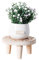 Obelunrp Soporte de plantas de madera, 6.3x3.2 pulgadas de planta redonda de madera, taburete decorativo de plantas pequeñas, estante de flores para plantas para exteriores