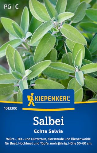 Kiepenkerl Salbeisamen Echte Salvia 10133