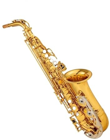 Professionell Saxofon Altsaxofon Träblåsinstrument Med Fodral Och Tillbehör