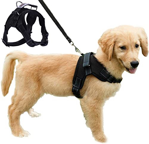 Dog Harness Comfort Soft Breathable Adjustable Mesh Pet Chest Strap Large Dog Harness Vest Collar Hand Strap (M, Black)