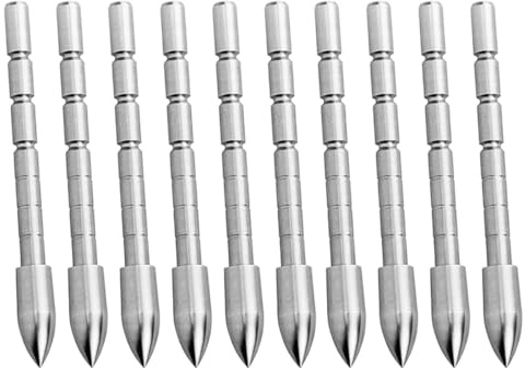 Sarini Pointe de flèche d'interpolation de 4,2 mm, Pointe de flèche en Acier à 120 Grains pour tir à l'arc à flèche ID 4,2 mm, Support de flèche et Accessoires d'arbre
